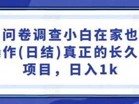 国内问卷调查小白在家也可批量操作(日结)真正的长久稳定项目,日入1k【揭秘】