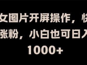 美女图片开屏操作,快速涨粉,小白也可日入1k【揭秘】