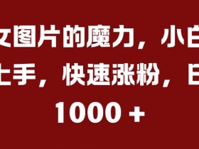 美女图片的魔力,小白轻松上手,快速涨粉,日入几张【揭秘】