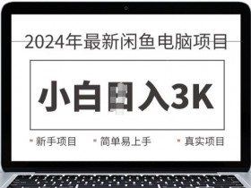2024最新闲鱼电脑项目,动手就能吃肉的好项目