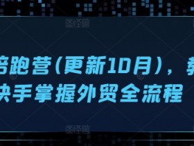 外贸陪跑营(更新10月),教你快手掌握外贸全流程