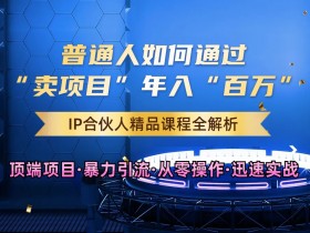 2024年如何通过知识付费“卖项目”年入“百W”，卖项目合伙人IP孵化训练营