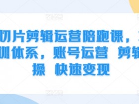IP切片剪辑运营陪跑课,3大培训体系,账号运营 剪辑实操 快速变现