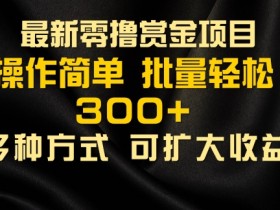 2024最新零撸赏金项目,无需养机,直接上手操作 ,单机收益30+,适合批量放大