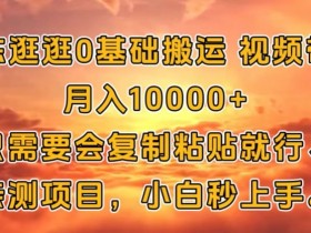 京东逛逛0基础搬运视频带货【赚佣金】月入1w