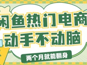 电商平台卖显示器月入过W，最新干货分享，小白轻松上手