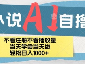 小说AI自撸玩法,小白当天学会当天见收益,日轻松入几张