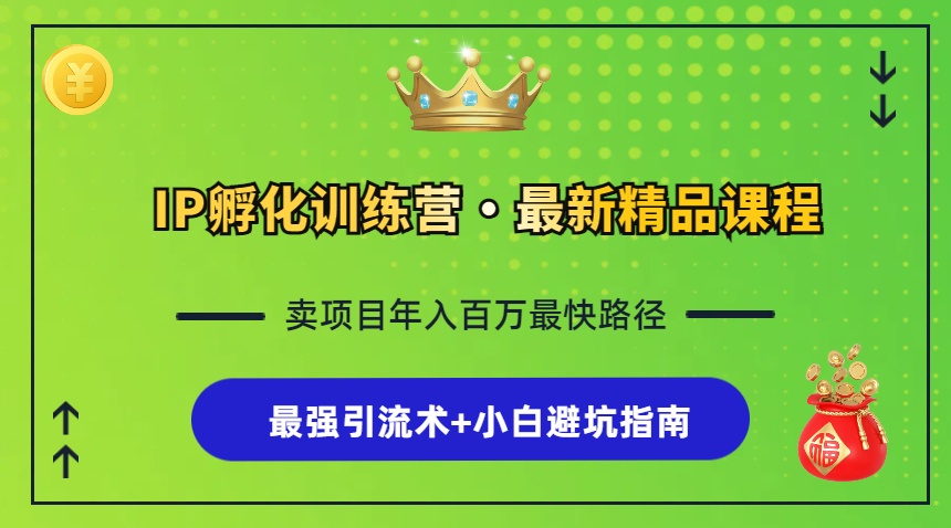 (13055期)IP卵化夏令营,社交电商全过程 最牛引流术 新手避坑指南