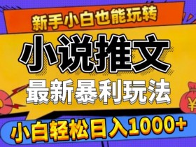 24年最新小说推文暴利玩法,0门槛0风险,轻松日入1k