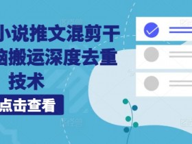海外TK小说推文混剪干货,无脑搬运深度去重技术
