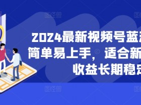 2024最新视频号蓝海项目,简单易上手,适合新手小白,收益长期稳定