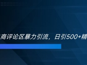 双十一电商评论区暴力引流,日引500+精准创业粉【揭秘】