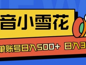 独家抖音小雪花项目,单账号日入几张