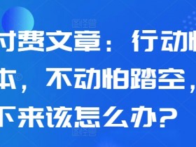 某付费文章:行动怕亏本,不动怕踏空,接下来该怎么办?
