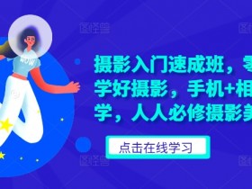 摄影入门速成班,零基础轻松学好摄影,手机+相机摄影教学,人人必修摄影美学