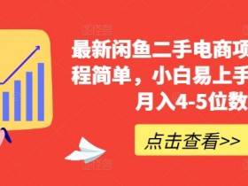 最新闲鱼二手电商项目,流程简单,小白易上手,副业月入4-5位数!