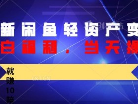 最新闲鱼轻资产变现,纯小白福利,当天操作,就赚10陪以上差价
