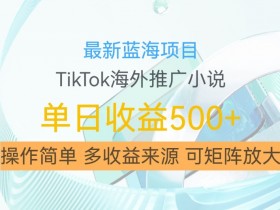 最新蓝海项目,利用tiktok海外推广小说赚钱佣金,简单易学,日入500+,可矩阵放大【揭秘】