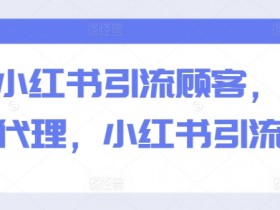 巧用小红书引流顾客,精准招募代理,小红书引流专辑