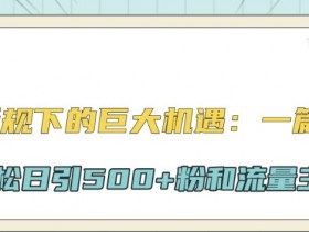 公众号新规下的巨大机遇:一篇文章引爆流量,轻松日引500+粉和流量主双方收益