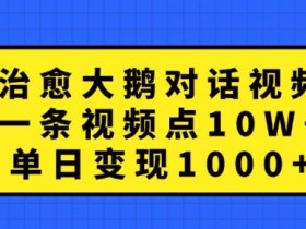 治愈大鹅对话视频,一条视频点赞 10W+,单日变现1k+【揭秘】
