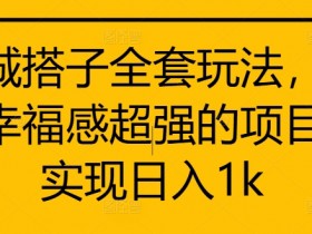 同城搭子全套玩法,一个幸福感超强的项目,实现日入1k【揭秘】