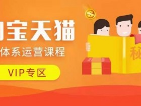 淘宝天猫全体系运营课程【9月24更新】,店铺全系运营、动销玩法、擦边球玩法等等