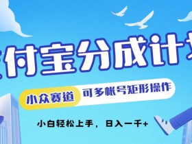 支付宝分成计划小众赛道可多号矩形操作,小白轻松上手