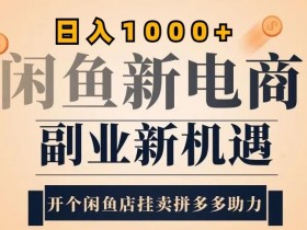 2024闲鱼虚拟升级玩法,实操落地项目,日入几张