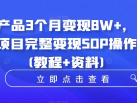 虚拟产品3个月变现8W+,小学教辅项目完整变现SOP操作教程(教程+资料)