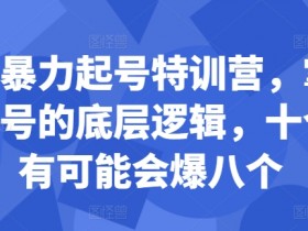 小红书暴力起号特训营,掌握小红书起号的底层逻辑,十个帖真有可能会爆八个