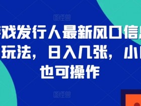 游戏发行人最新风口信息差玩法,日入几张,小白也可操作