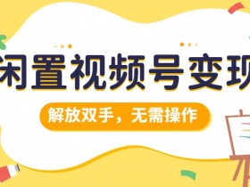 闲置视频号变现，项目再升级，解放双手，无需操作，最高单日几张