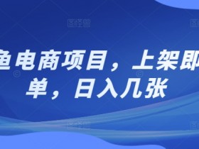闲鱼电商项目,上架即出单,日入几张