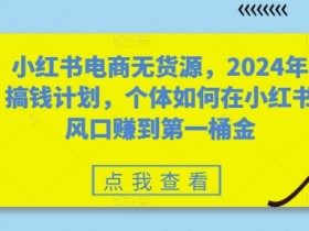 小红书电商无货源，2024年搞钱计划，个体如何在小红书风口赚到第一桶金