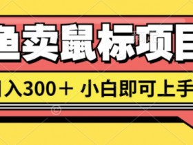 闲鱼卖鼠标项目日入3张,小白即可上手