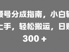 视频号分成指南,小白轻松上手,轻松搬运,日入3张