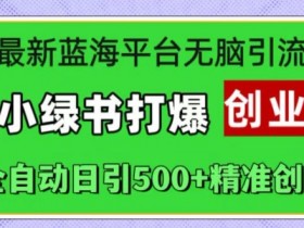 最新蓝海平台无脑引流,小绿书打爆创业圈,全自动日引500+精准创业粉