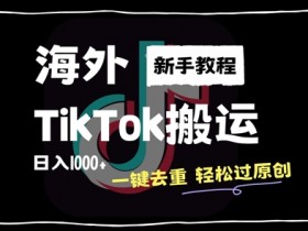 2024最新海外TikTok搬运玩法,一键去重轻松过原创,新手无经验也能日入1k【揭秘】