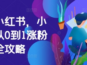 掘金小红书,小红书从0到1涨粉变现全攻略