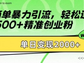 简单暴力引流,轻松达到日引500+精准创业粉,单日变现2k【揭秘】
