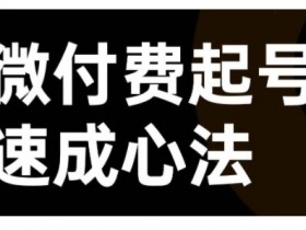 微付费起号速成课，视频号直播+抖音直播，微付费起号速成心法