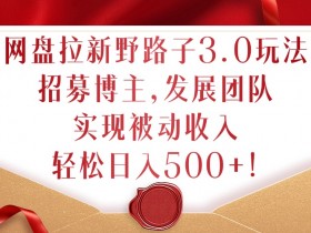 网盘拉新野路子3.0玩法,招募博主,发展团队,实现被动收入,轻松日入500+【揭秘】