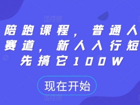 短剧陪跑课程,普通人逆袭的新赛道,新人入行短剧,先搞它100W