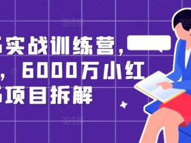 小红书实战训练营,从0到1,6000万小红书项目拆解