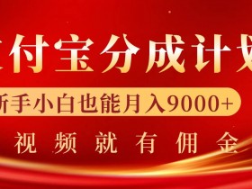 支付宝视频分成计划,一万播放200-300+,抓紧来干
