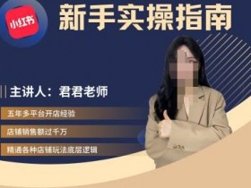 君君-小红书电商从入门到精通,新手实操指南
