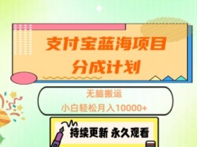 支付宝蓝海项目分成计划,无脑搬运,小白轻松月入1w+