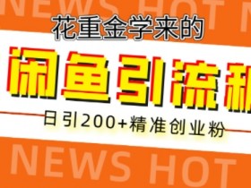 花重金学来的闲鱼到流秘籍,日引200+精准创业粉