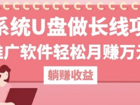 用系统U盘做长线项目,推广软件轻松月入过W